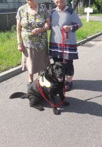 médiation par l'animal