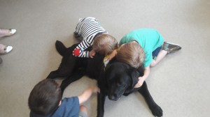 activité assistée par l'animal